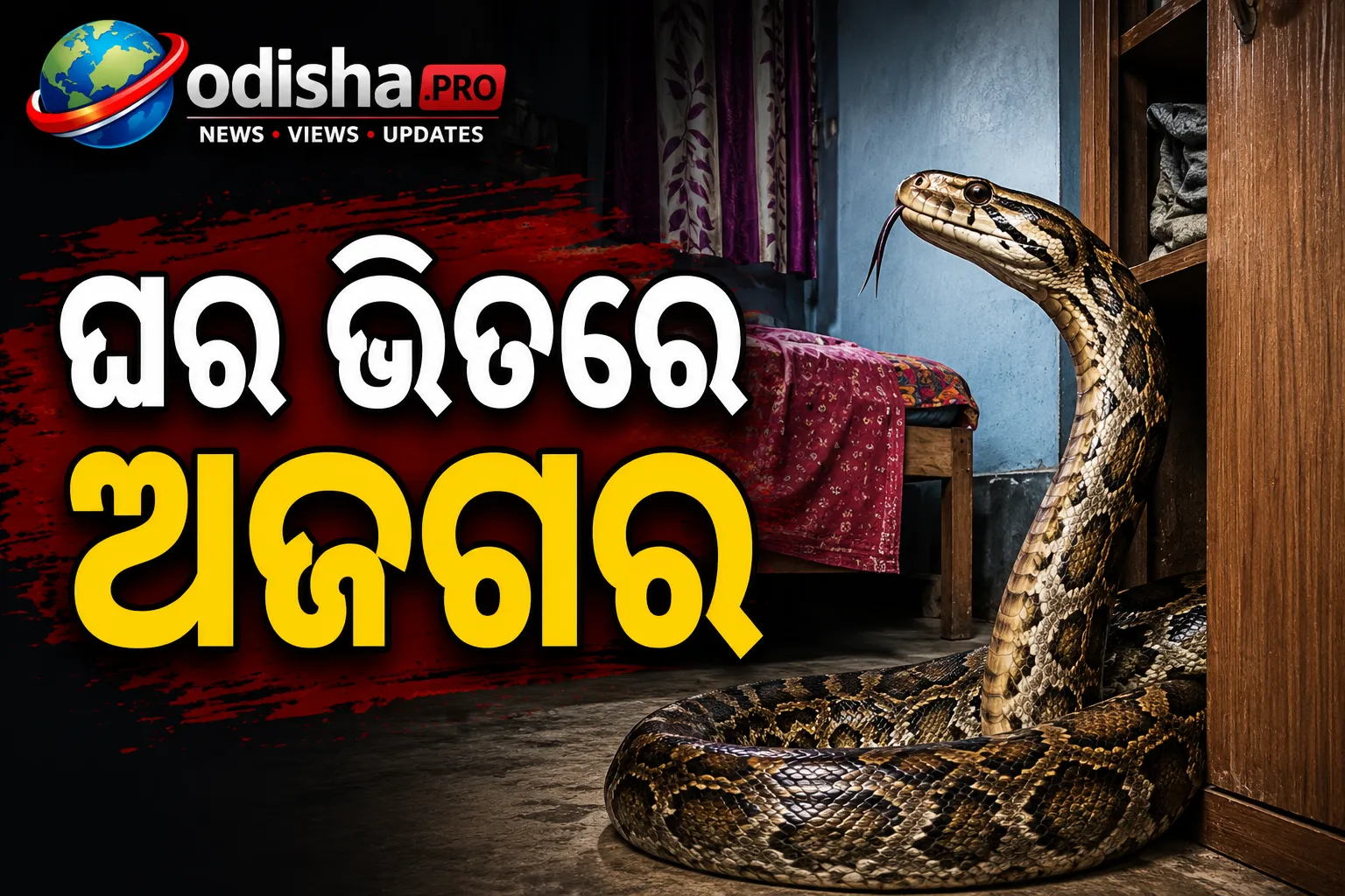 ଘର ଭିତରେ ଅଜଗର! ୮ ଫୁଟ୍‌ର ବିଶାଳ ସାପ ଦେଖି ରାତିସାରା ବାହାରେ ରହିଲେ ପରିବାର