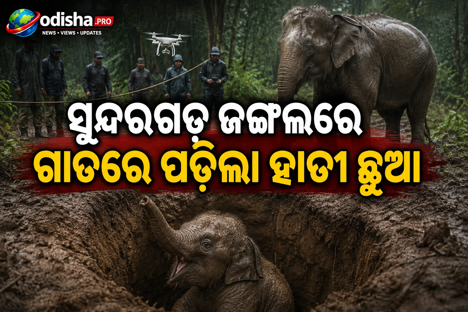 ସୁନ୍ଦରଗଡ଼ ଜଙ୍ଗଲରେ ଗାତରେ ପଡ଼ିଲା ହାତୀ ଛୁଆ, ବର୍ଷା ଯୋଗୁଁ ଉଦ୍ଧାର କାର୍ଯ୍ୟ ବାଧାପ୍ରାପ୍ତ