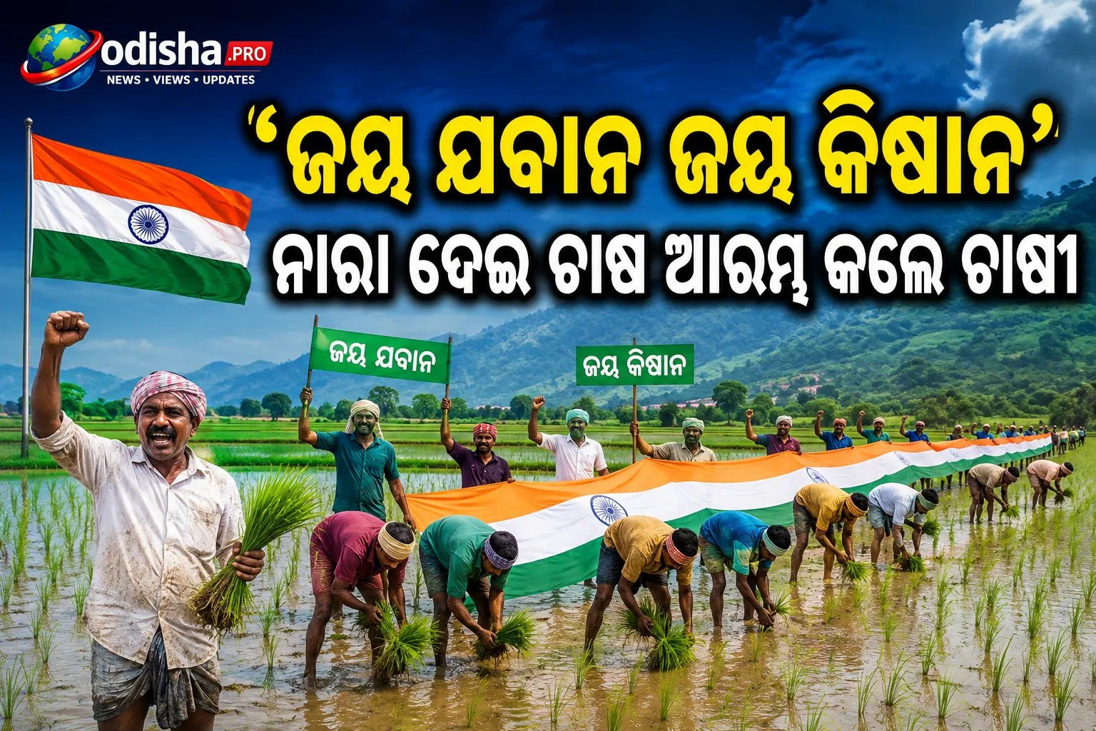 ଧାନ ବିଲରେ ୫୦ ମିଟର ତ୍ରିରଙ୍ଗା, ‘ଜୟ ଯବାନ ଜୟ କିଷାନ’ ନାରା ଦେଇ ଚାଷ ଆରମ୍ଭ କଲେ ଚାଷୀ