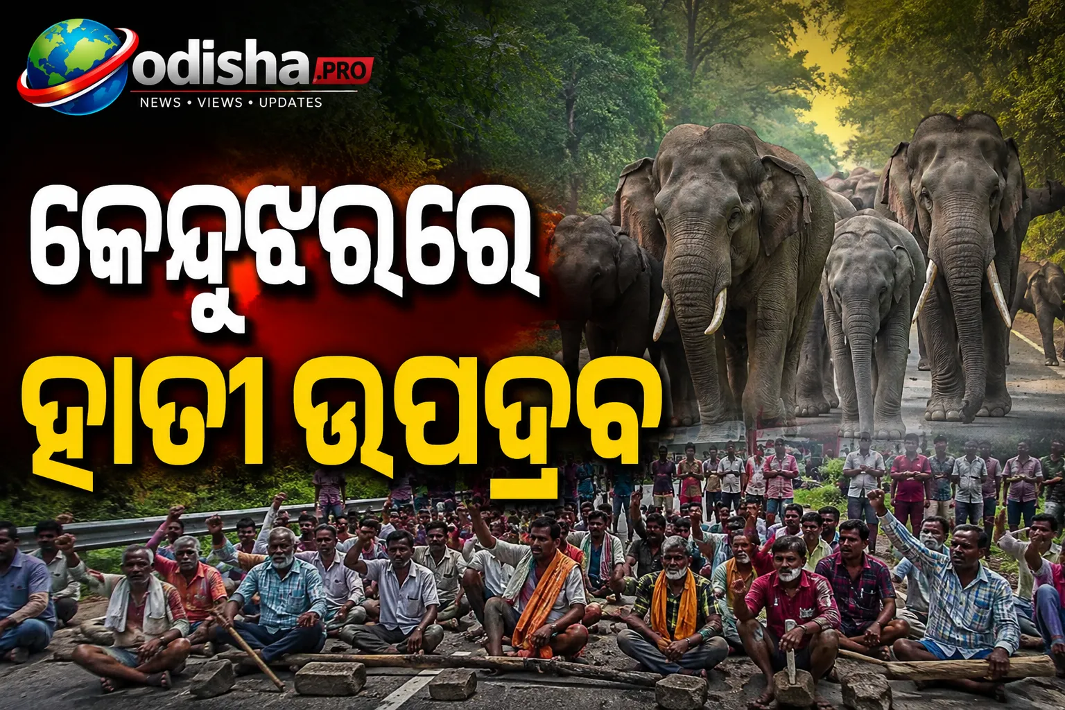 କେନ୍ଦୁଝରରେ ହାତୀ ଉପଦ୍ରବ: କ୍ଷତିପୂରଣ ଦାବିରେ NH-220 ଅବରୋଧ