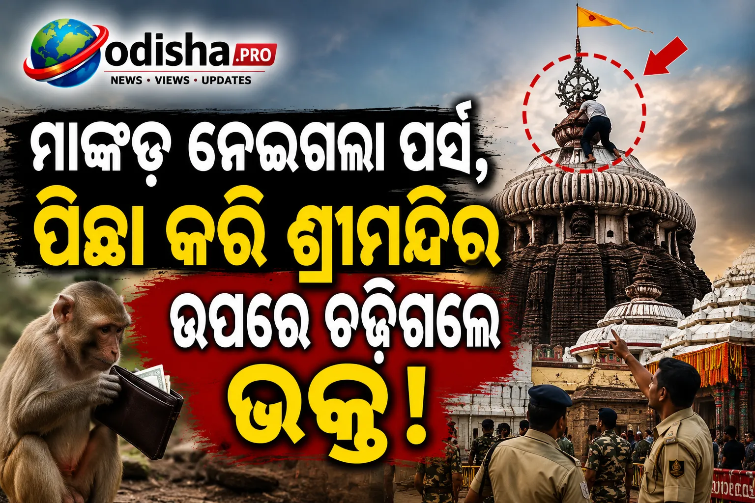ମାଙ୍କଡ଼ ନେଇଗଲା ପର୍ସ, ଫେରାଇ ଆଣିବାକୁ ଶ୍ରୀମନ୍ଦିର ଉପରେ ଚଢ଼ିଗଲେ ଭକ୍ତ!