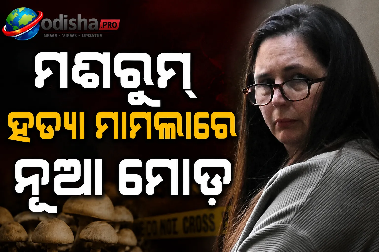 ମଶରୁମ୍ ହତ୍ୟା ମାମଲାରେ ନୂଆ ମୋଡ଼: ଜୁରି ସଦସ୍ୟଙ୍କ ହୋଟେଲ୍‌ରେ ‘ବଡ଼ ତ୍ରୁଟି’ ନେଇ ଏରିନ୍ ପାଟରସନଙ୍କ ଅପିଲ୍