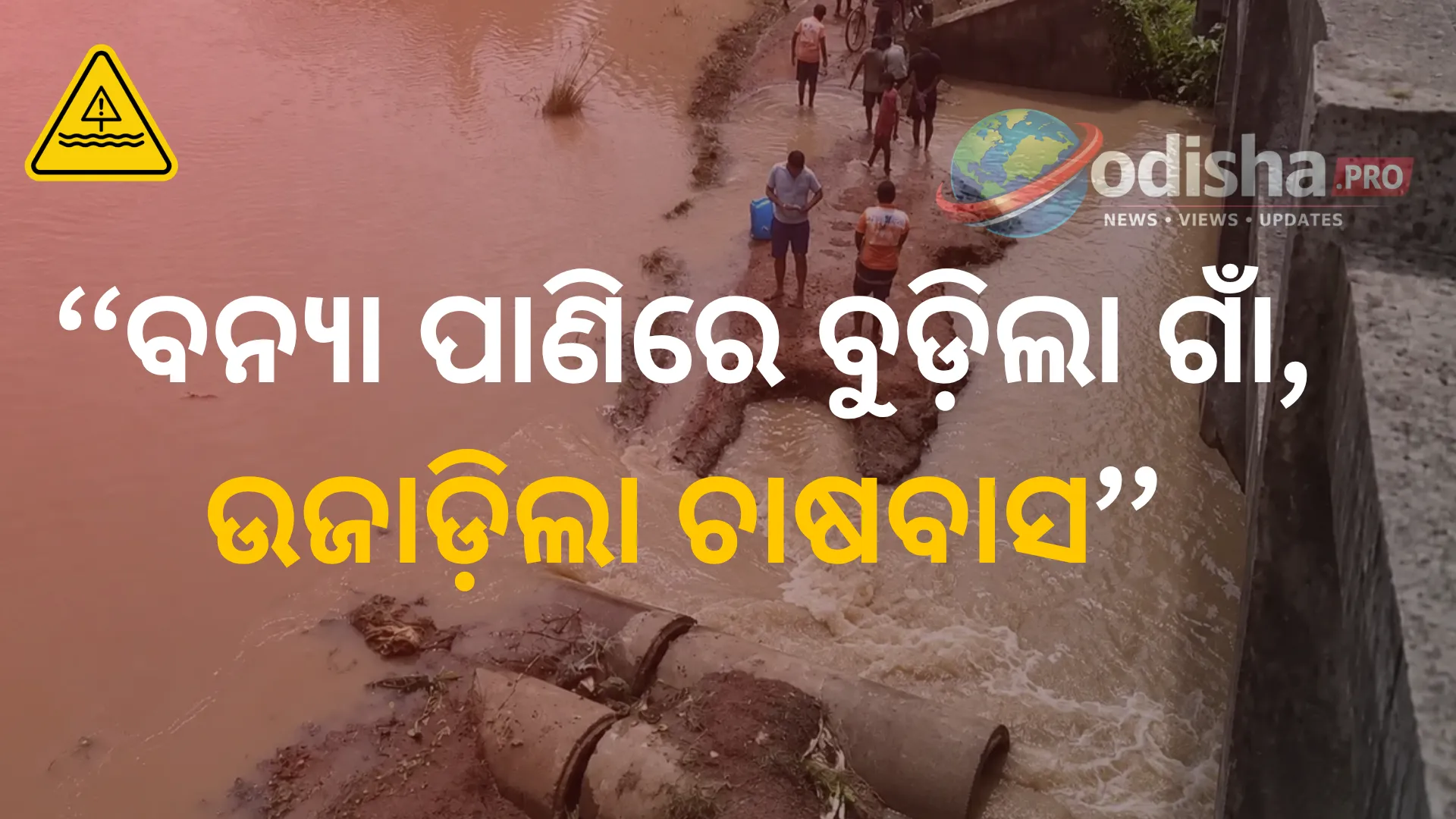 ଦୟା ନଦୀରେ ବନ୍ୟା ବିପତ୍ତି: ଡେଲାଙ୍ଗର ଗାଁ ବାହ୍ୟଜଗତରୁ ବିଚ୍ଛିନ୍ନ, ଉଜୁଡ଼ିଗଲା ଚାଷବାସ