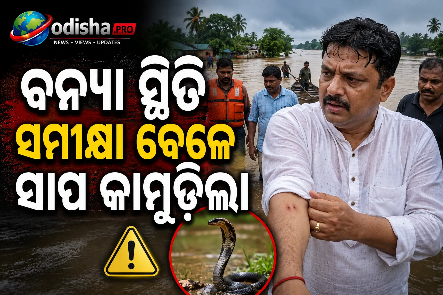ବନ୍ୟା ସ୍ଥିତି ସମୀକ୍ଷା ବେଳେ ସାପ କାମୁଡ଼ିଲା: ଚିକିତ୍ସାଧୀନ ପୂର୍ବତନ ବିଧାୟକ ଅଂଶୁମାନ ମହାନ୍ତି