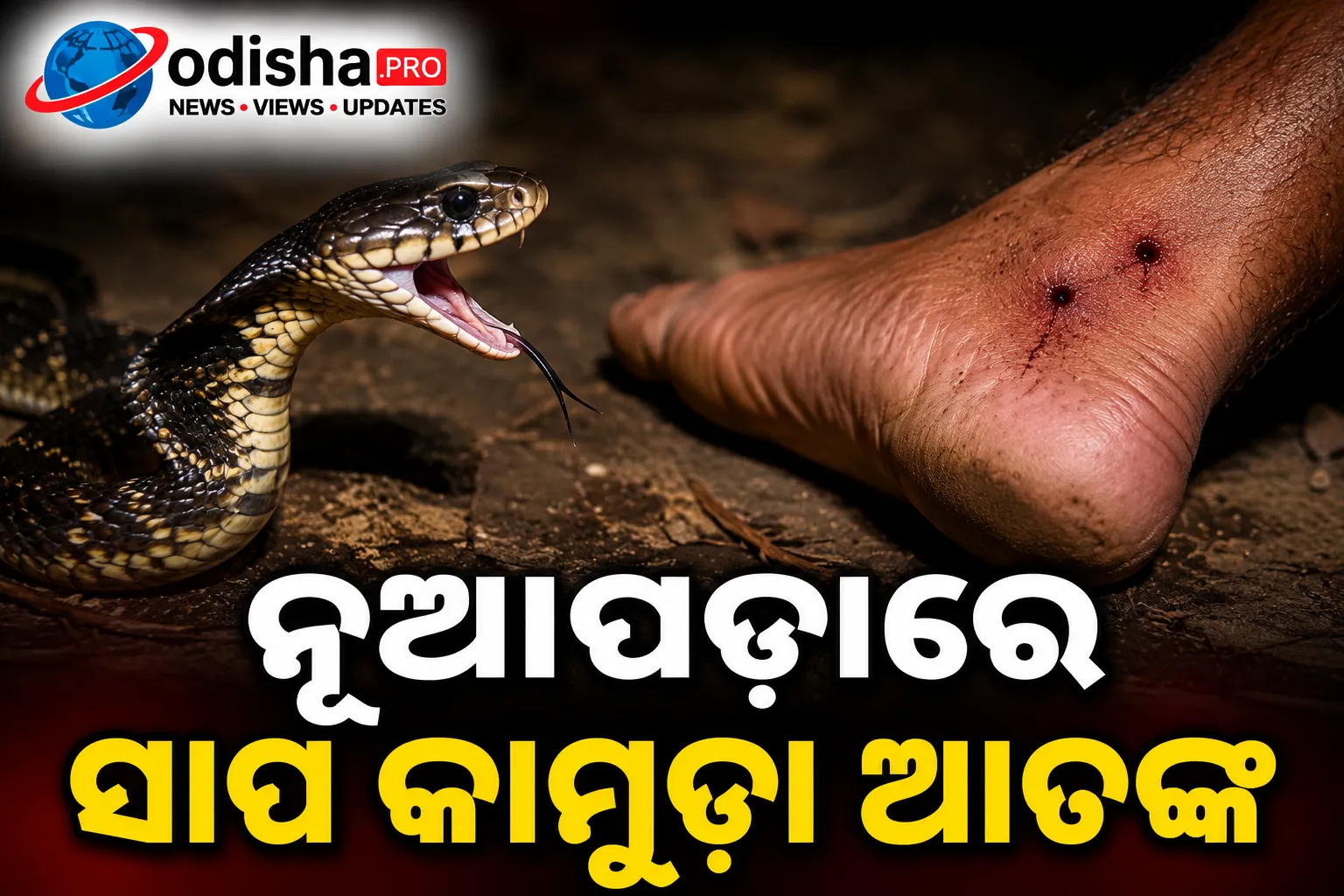 ନୂଆପଡ଼ାରେ ସାପ କାମୁଡ଼ା ଆତଙ୍କ: ଦାଦା-ପୁତୁରା ମୃତ, ତୃତୀୟ ଶ୍ରମିକ ଗୁରୁତର