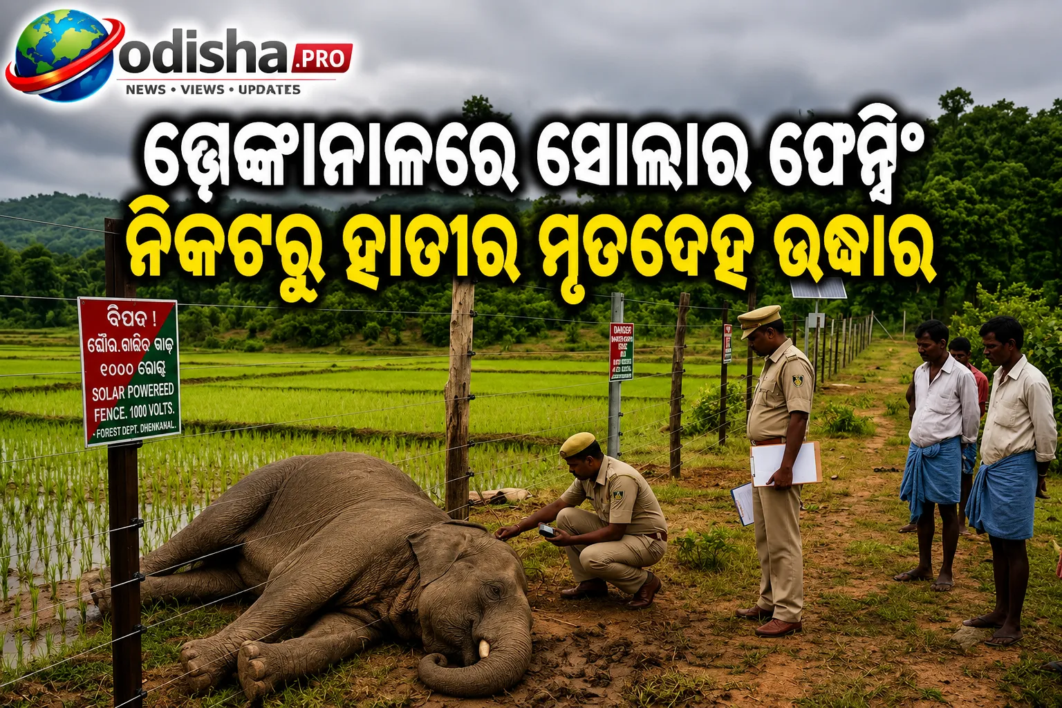 ଢେଙ୍କାନାଳରେ ସୋଲାର ଫେନ୍ସିଂ ନିକଟରୁ ହାତୀର ମୃତଦେହ ଉଦ୍ଧାର