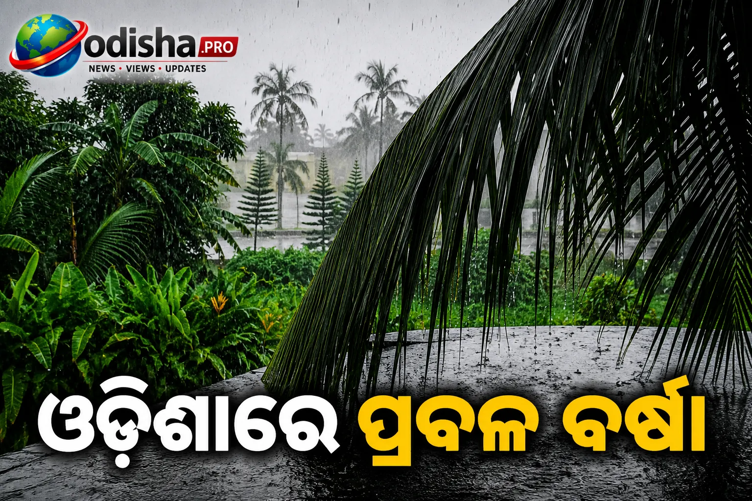 ଓଡ଼ିଶାରେ ପ୍ରବଳ ବର୍ଷା: ୯ ସ୍ଥାନରେ ୧୦୦ ମିମିରୁ ଅଧିକ, ଯୋଡ଼ାରେ ସର୍ବାଧିକ ୧୬୯.୪ ମିମି