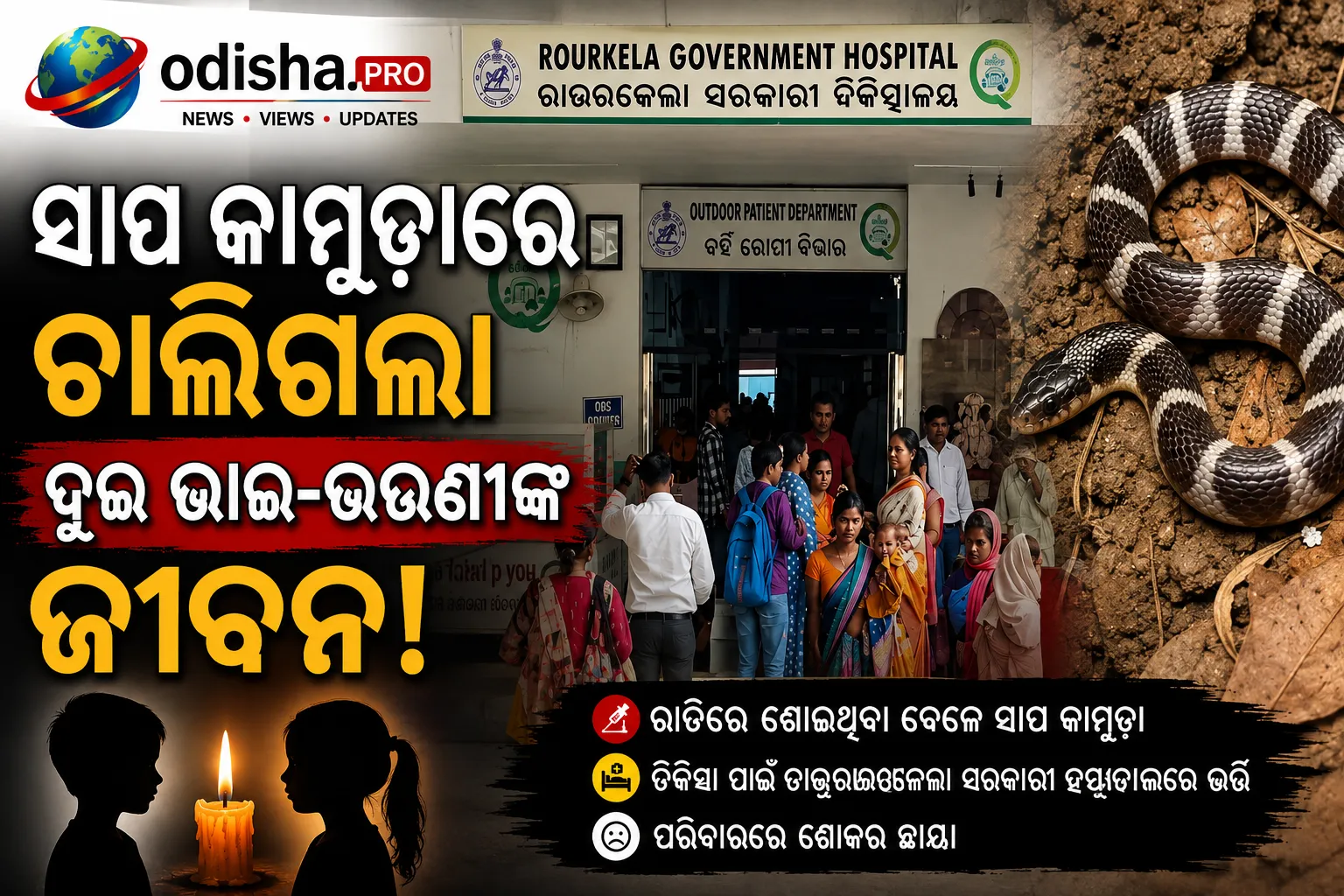 ଓଡ଼ିଶାରେ ସାପ କାମୁଡ଼ାରେ ଦୁଇ ଭାଇ-ଭଉଣୀଙ୍କ ମୃତ୍ୟୁ, ଶୋଇଥିବା ବେଳେ ଘଟିଲା ଅଘଟଣ