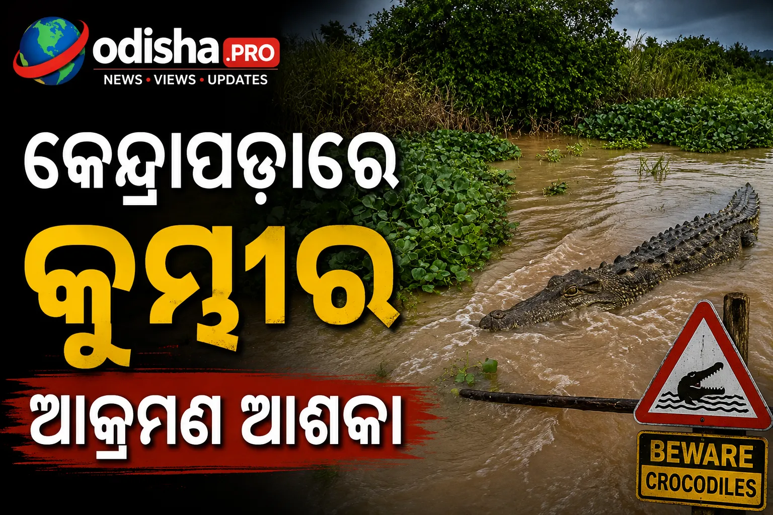 କେନ୍ଦ୍ରାପଡ଼ାରେ କୁମ୍ଭୀର ଆକ୍ରମଣ ଆଶଙ୍କା, ନଦୀରେ ନିଖୋଜ ଯୁବକ