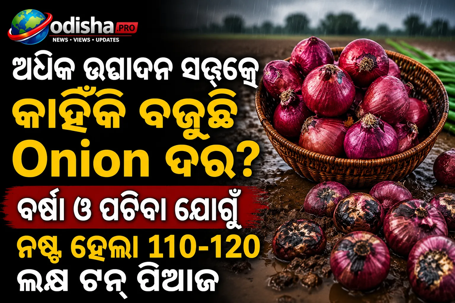ଅଧିକ ଉତ୍ପାଦନ ସତ୍ତ୍ୱେ କାହିଁକି ବଢ଼ୁଛି ପିଆଜ ଦର? ବର୍ଷା ଓ ପଚିବା ଯୋଗୁଁ ନଷ୍ଟ ହେଲା ୧୧୦-୧୨୦ ଲକ୍ଷ ଟନ୍ ପିଆଜ