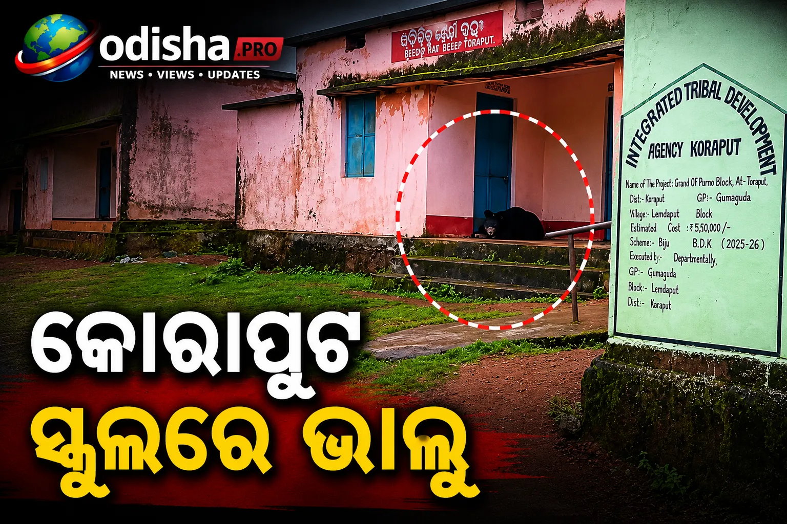 କୋରାପୁଟ ସ୍କୁଲରେ ଭାଲୁ; ଶୋଇଥିବା ଅବସ୍ଥାରେ ଠାବ, ଗାଁରେ ଆତଙ୍କ