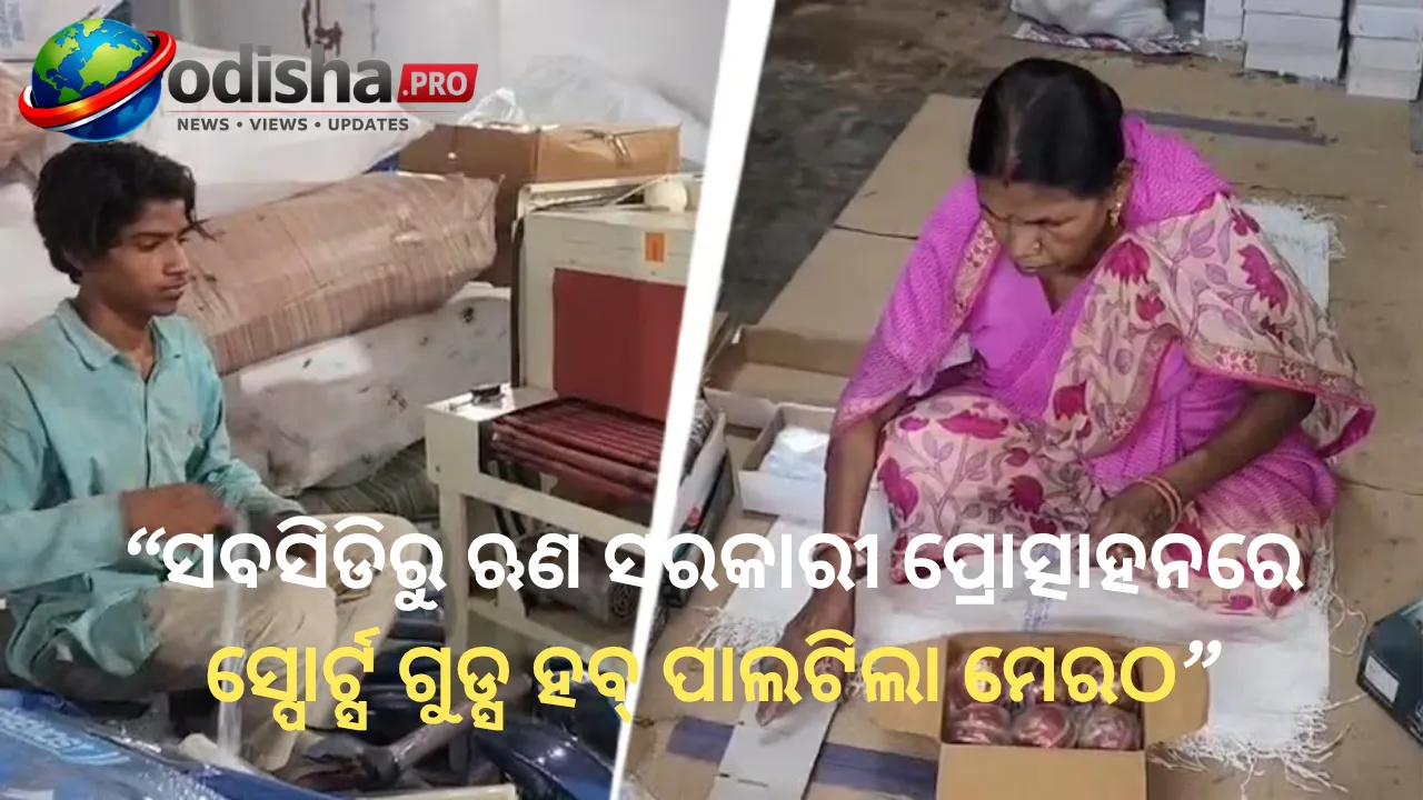 ସବସିଡିରୁ ଋଣ, ସରକାରୀ ପ୍ରୋତ୍ସାହନରେ ସ୍ପୋର୍ଟ୍ସ ଗୁଡ୍ସ ହବ୍ ପାଲଟିଲା ମେରଠ