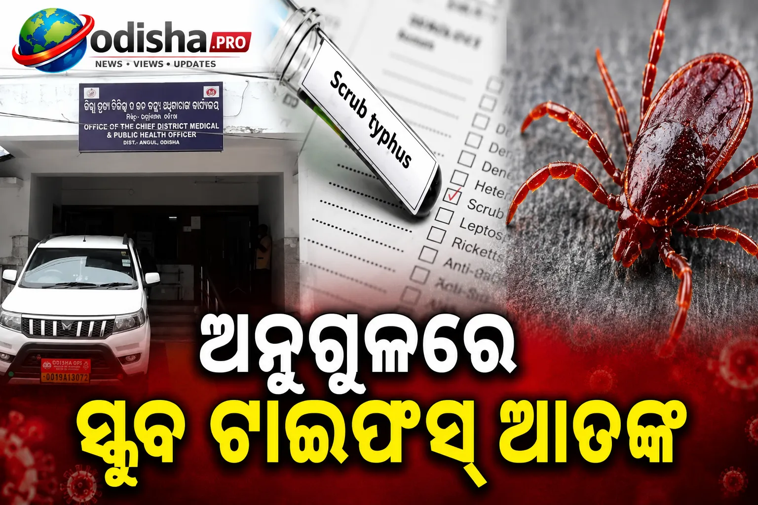 ଅନୁଗୁଳରେ ସ୍କ୍ରବ୍ ଟାଇଫସ୍ ଆତଙ୍କ: ଗୋଟିଏ ଗାଁରେ ୪ ମାମଲା ଚିହ୍ନଟ, ୧୫ ଦିନ ଚାଲିବ ସ୍ୱାସ୍ଥ୍ୟ ବିଭାଗର ନଜରଦାରୀ