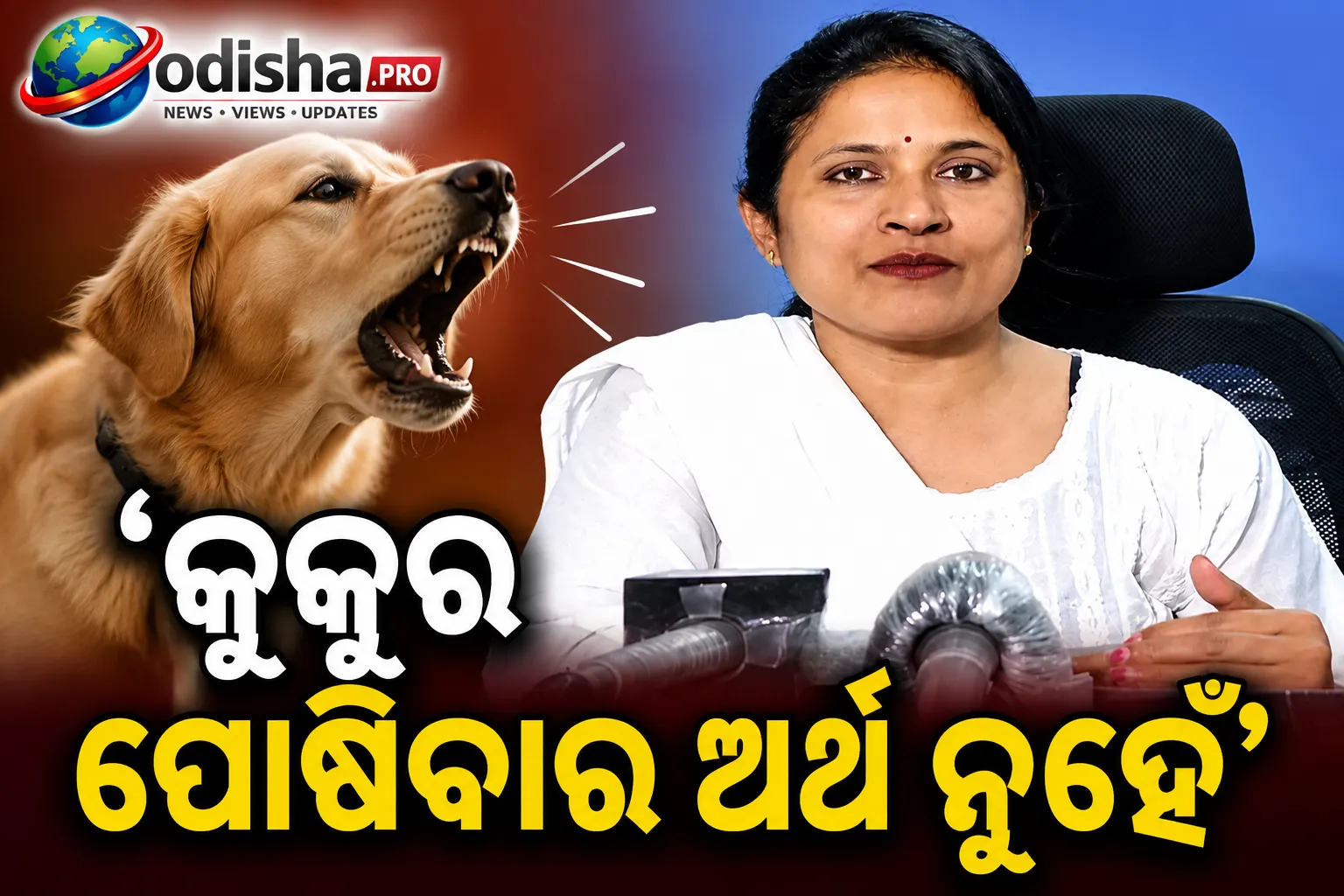 ‘କୁକୁର ପୋଷିବାର ଅର୍ଥ ନୁହେଁ…’: ଭୁବନେଶ୍ୱର ପୋଷା କୁକୁର ମାଲିକଙ୍କୁ ମେୟର ସୁଲୋଚନା ଦାସଙ୍କ ଚେତାବନୀ