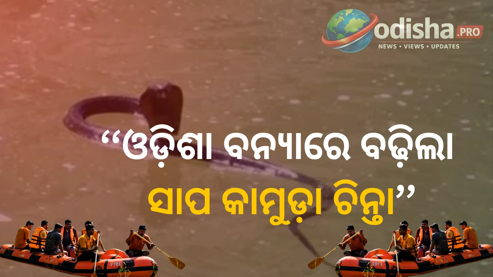 ଓଡ଼ିଶା ବନ୍ୟାରେ ବଢ଼ିଲା ସାପ କାମୁଡ଼ା ଚିନ୍ତା, ୯୬ ମାମଲା ଚିହ୍ନଟ; ତୁରନ୍ତ ଚିକିତ୍ସାରୁ ବଞ୍ଚିଲା ଜୀବନ