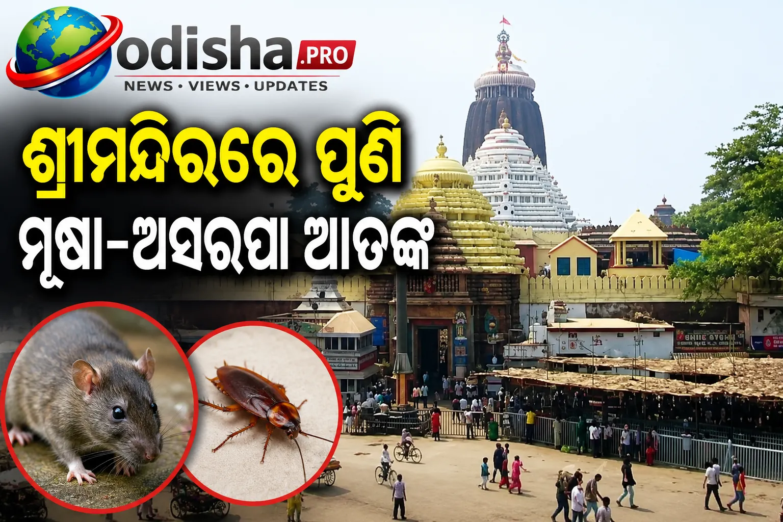 ଶ୍ରୀମନ୍ଦିରରେ ପୁଣି ମୂଷା-ଅସରପା ଆତଙ୍କ, ନିୟନ୍ତ୍ରଣ ପାଇଁ ଏସ୍‌ଜେଟିଏ-ଏଏସ୍‌ଆଇର ପଦକ୍ଷେପ