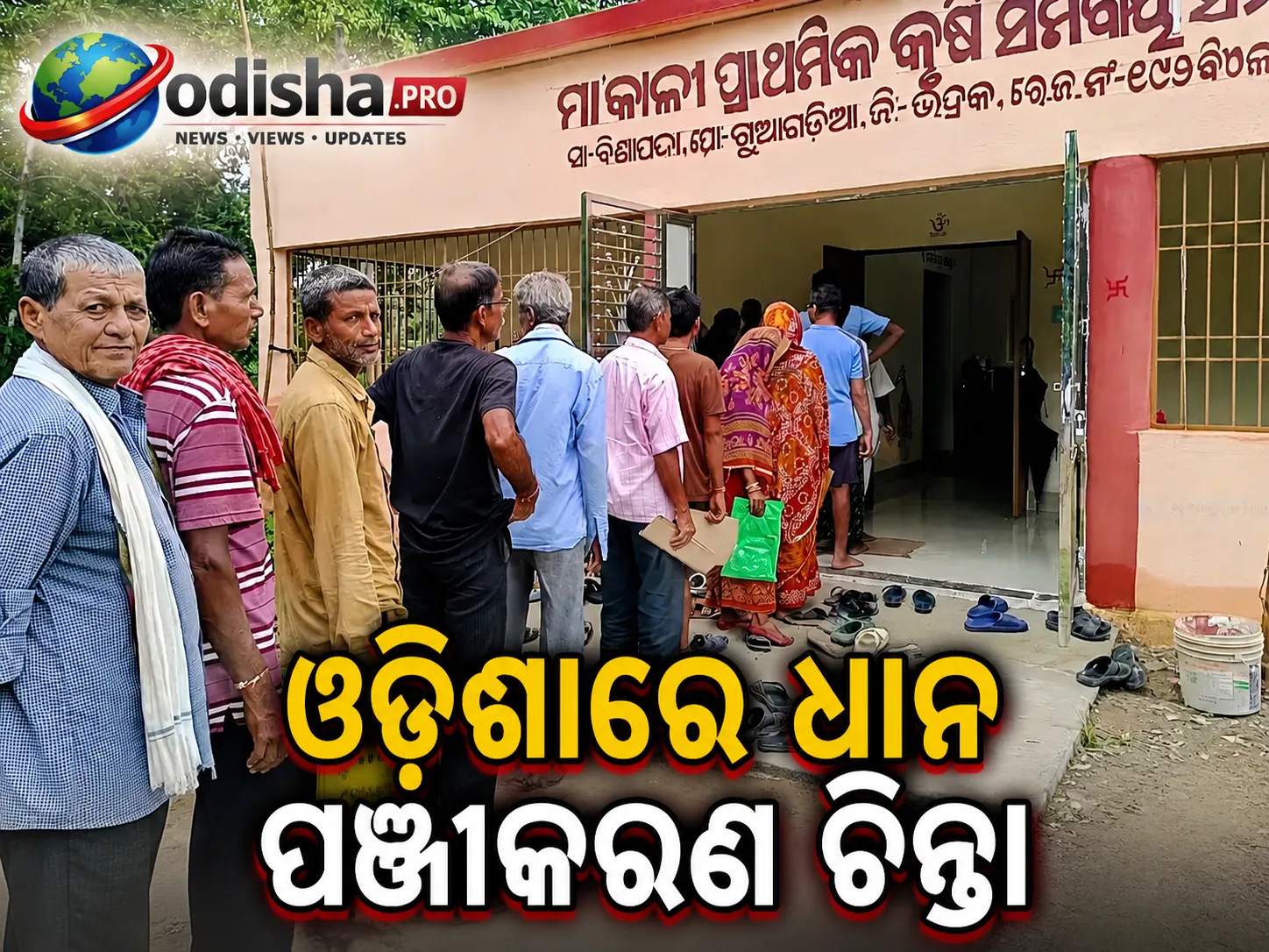 ଓଡ଼ିଶାରେ ଧାନ ପଞ୍ଜୀକରଣ ଚିନ୍ତା: ଚାଷ କରିବୁ ନା ଧାଡ଼ିରେ ଠିଆ ହେବୁ?