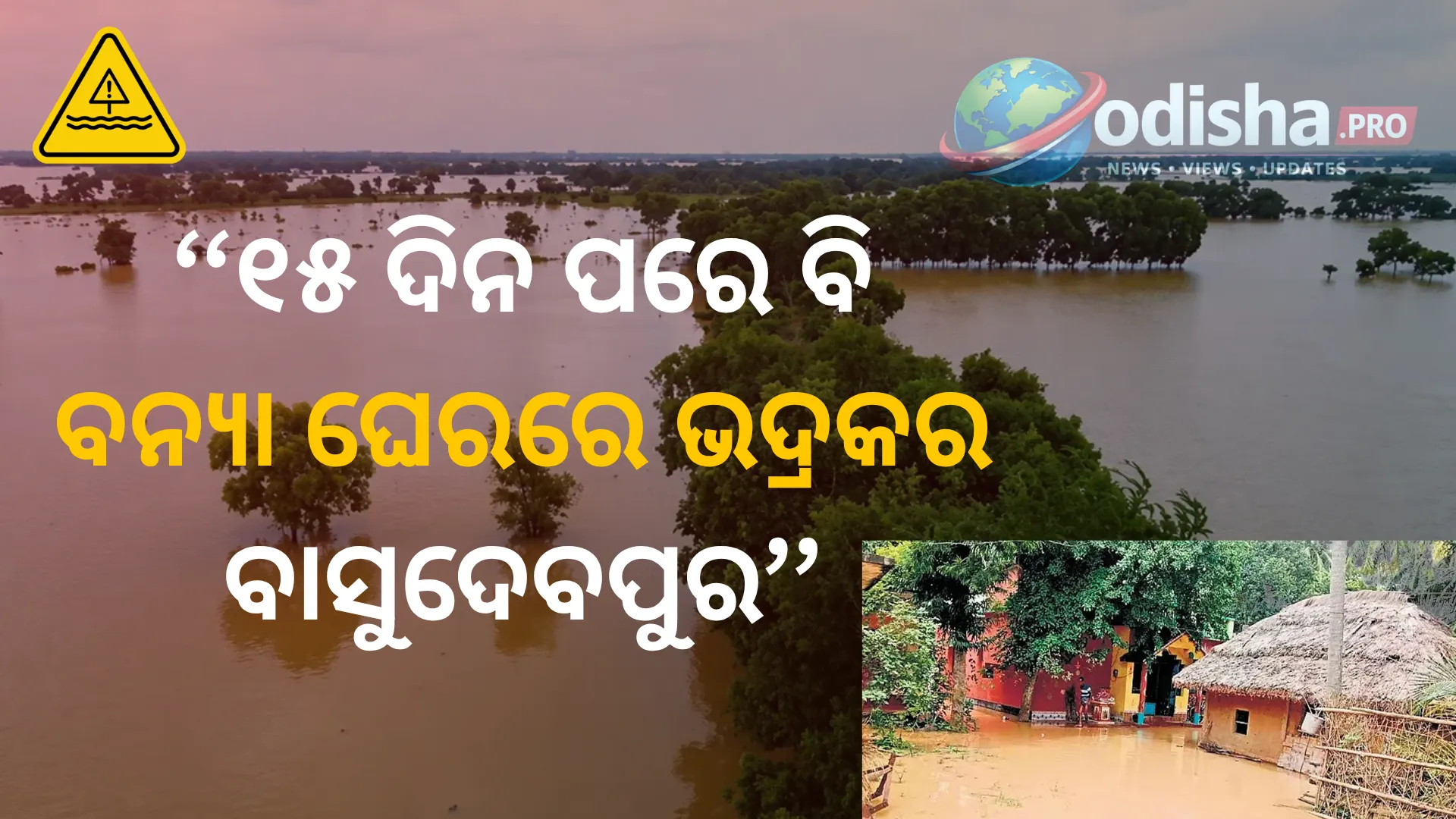 ୧୫ ଦିନ ପରେ ବି ବନ୍ୟା ଘେରରେ ଭଦ୍ରକର ବାସୁଦେବପୁର; ଉଜୁଡ଼ିଗଲା ଚାଷଜମି