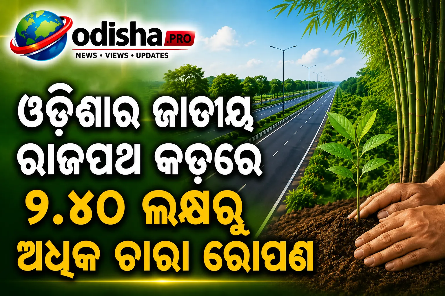ଓଡ଼ିଶାର ଜାତୀୟ ରାଜପଥ କଡ଼ରେ ୨.୪୦ ଲକ୍ଷରୁ ଅଧିକ ଚାରା ରୋପଣ; ପ୍ରଥମଥର ପାଇଁ ଆରମ୍ଭ ହେଲା ବାଉଁଶ ରୋପଣ ଅଭିଯାନ