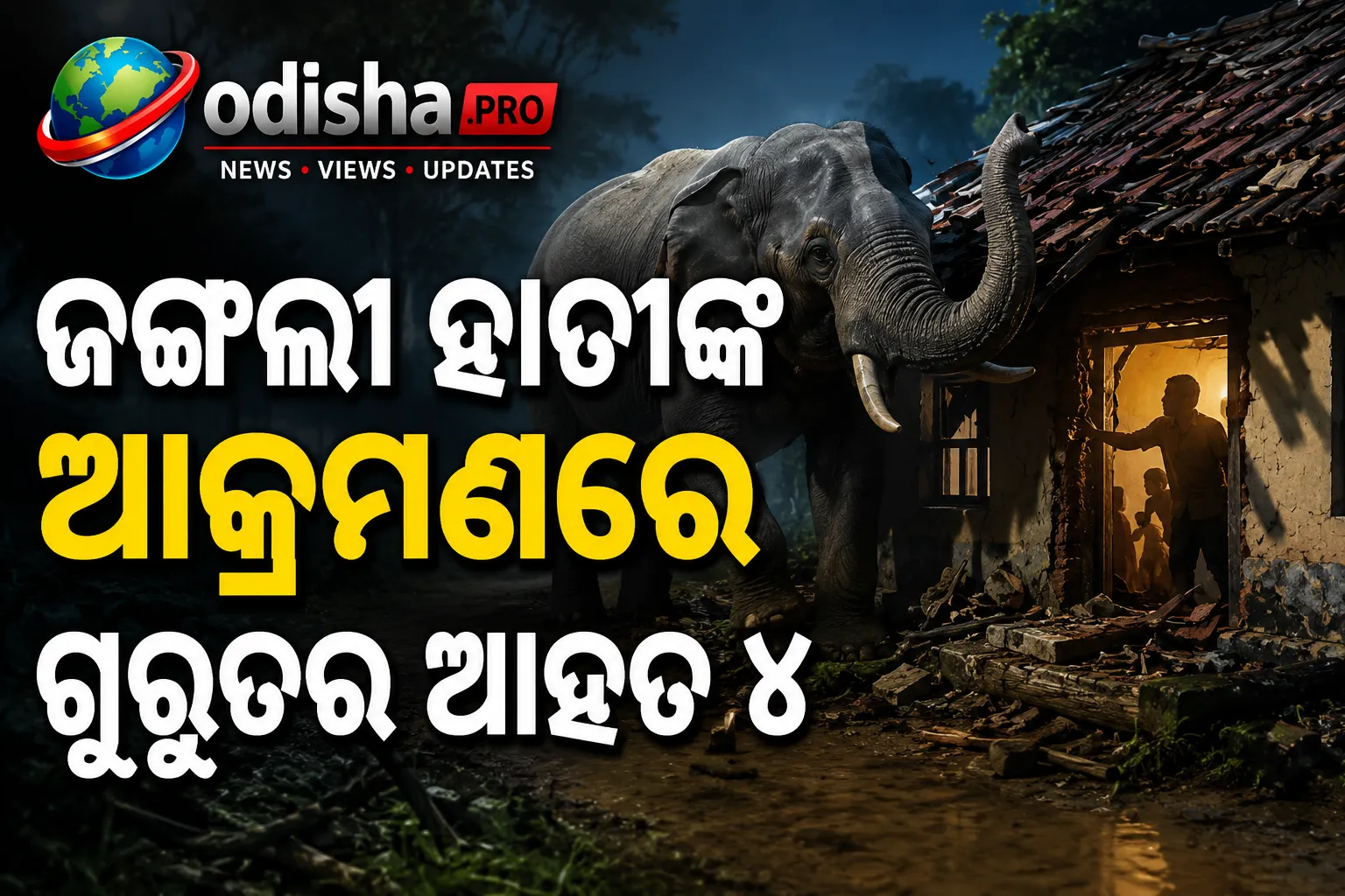 ଜଙ୍ଗଲୀ ହାତୀଙ୍କ ଆକ୍ରମଣରେ ଗୁରୁତର ଆହତ ଏକ ପରିବାରର ୪ ସଦସ୍ୟ, ବଲାଙ୍ଗିରରେ ଆତଙ୍କ