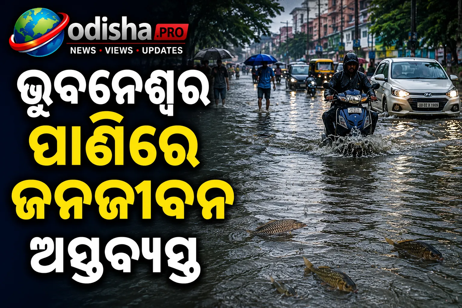 ଭୁବନେଶ୍ୱର ଜଳମଗ୍ନ: ରାସ୍ତାରେ ପହଁରୁଛି ମାଛ, ଆଣ୍ଠୁଏ ପାଣିରେ ଜନଜୀବନ ଅସ୍ତବ୍ୟସ୍ତ