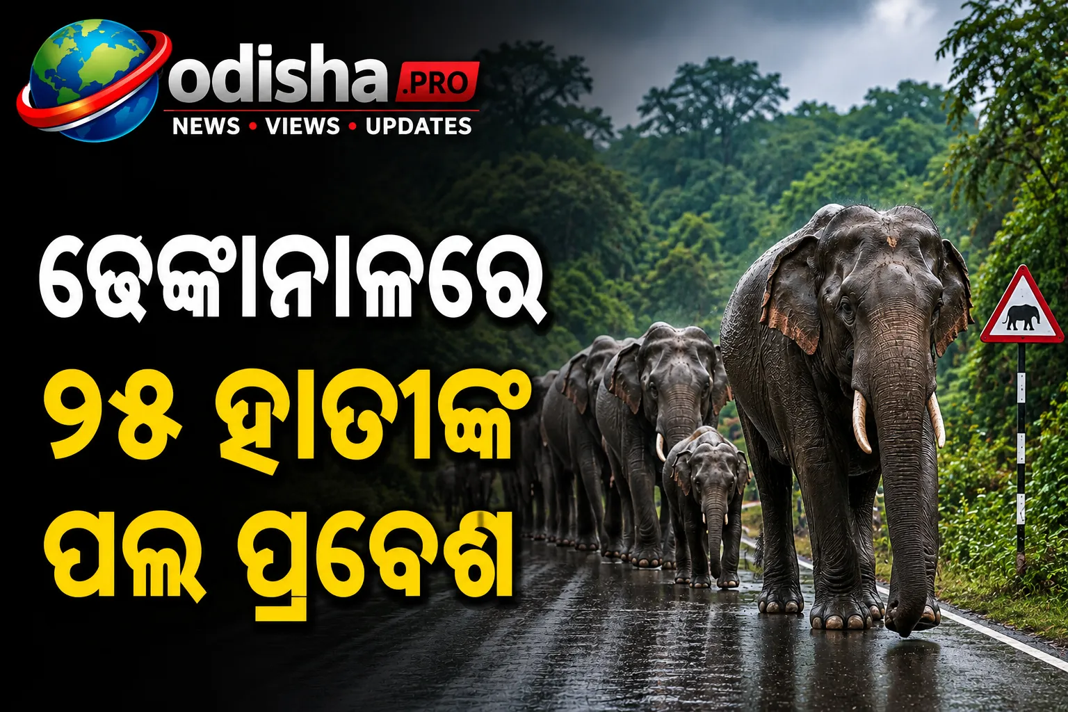 ଢେଙ୍କାନାଳରେ ୧୫ ହାତୀଙ୍କ ପଲ ପ୍ରବେଶ, ଆତଙ୍କରେ ଗ୍ରାମବାସୀ; ସତର୍କ ବନ ବିଭାଗ