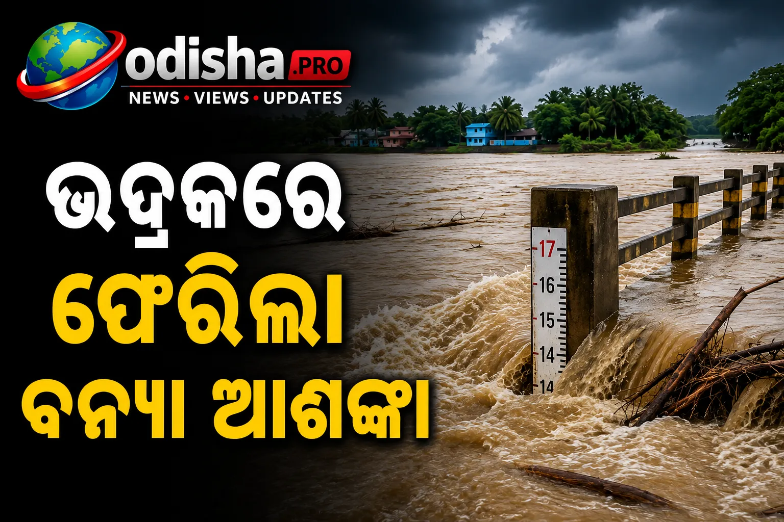 ପୁଣି ବଢ଼ୁଛି ସାଳନ୍ଦୀ ନଦୀ ଜଳସ୍ତର, ଭଦ୍ରକରେ ଫେରିଲା ବନ୍ୟା ଆଶଙ୍କା