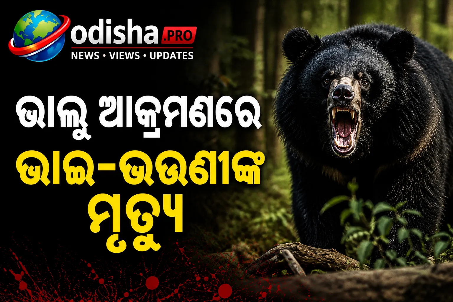 ଭାଲୁ ଆକ୍ରମଣରେ ଭାଇ-ଭଉଣୀଙ୍କ ମୃତ୍ୟୁ, କାଙ୍କେରରେ ଆତଙ୍କ