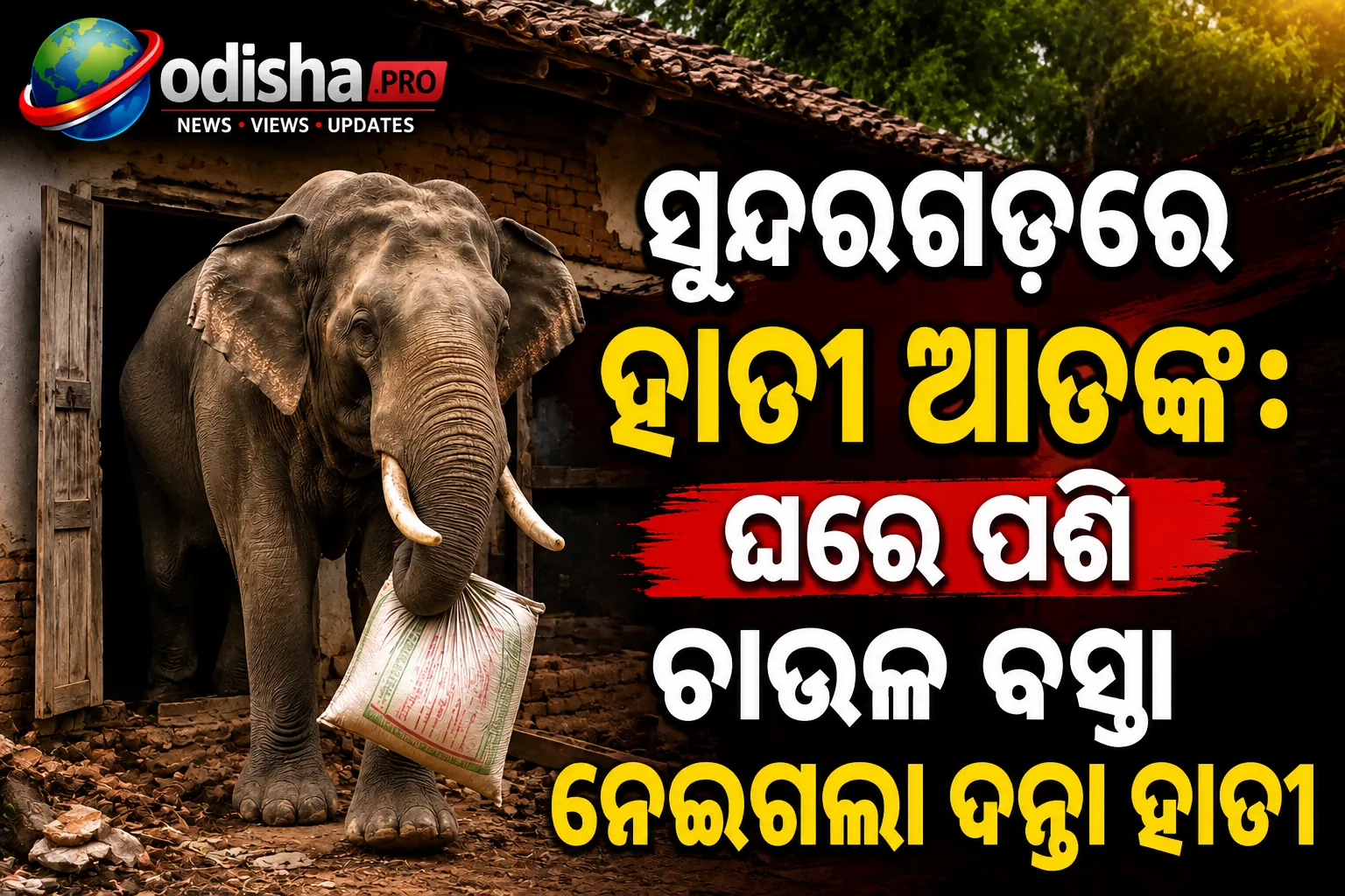 ସୁନ୍ଦରଗଡ଼ରେ ହାତୀ ଆତଙ୍କ: ଘରେ ପଶି ଚାଉଳ ବସ୍ତା ନେଇଗଲା ଦନ୍ତା ହାତୀ