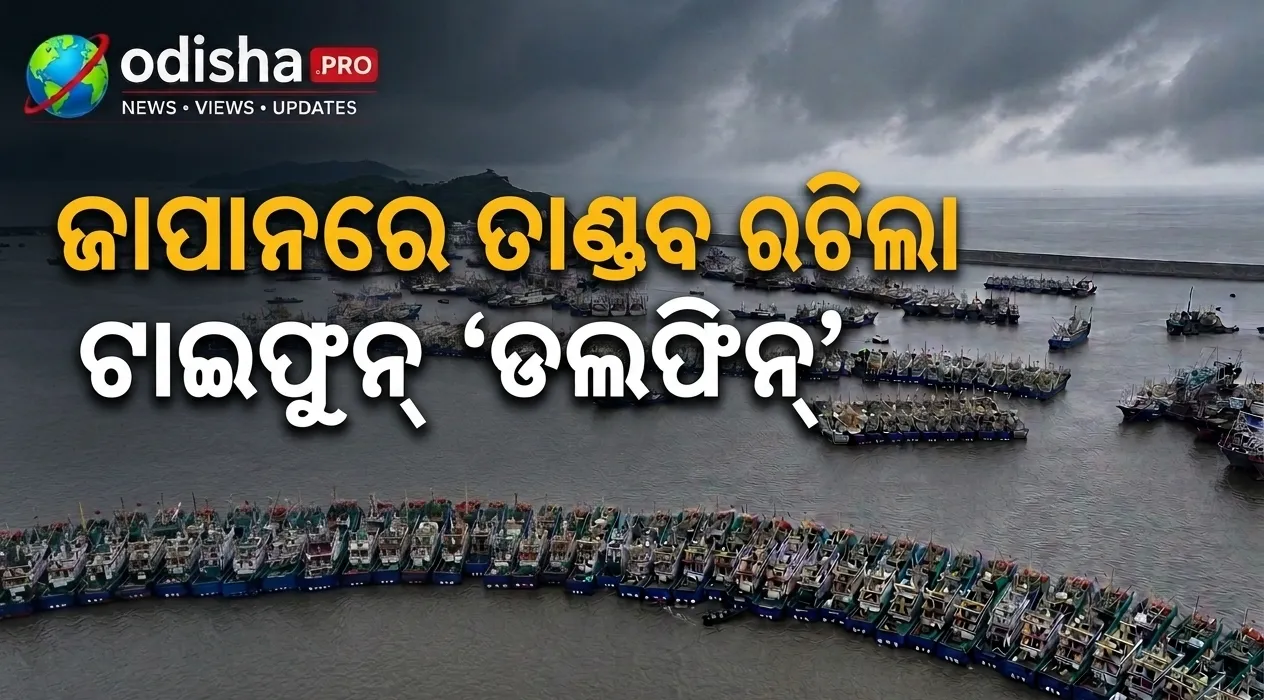 ଜାପାନର ଓକିନାୱାରେ ତାଣ୍ଡବ ରଚିଲା ଟାଇଫୁନ୍ ‘ଡଲଫିନ୍’; ଚୀନ୍‌ରେ ବନ୍ଦ ହେଲା ବନ୍ଦର, ଫେରି ସେବା ବାତିଲ୍