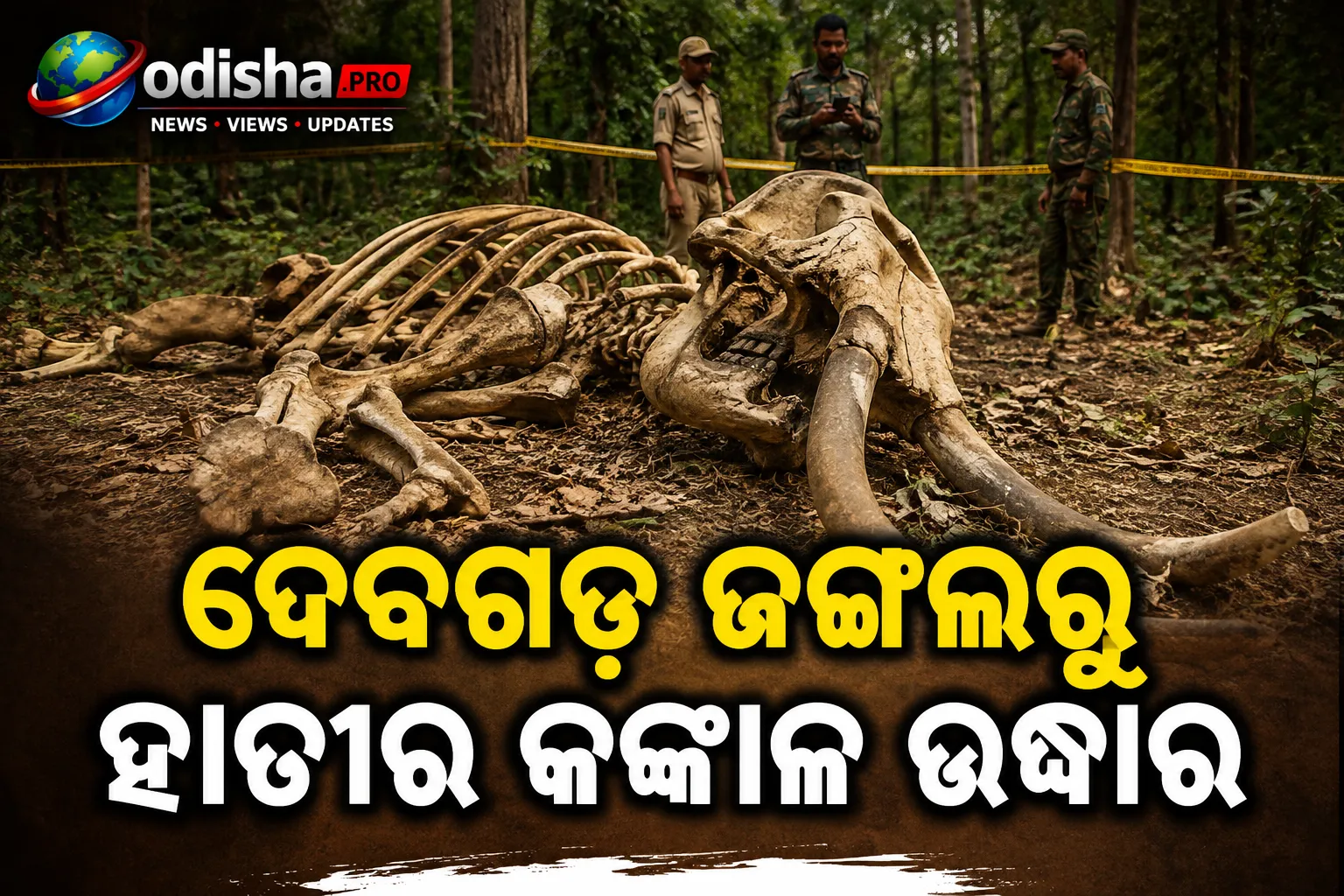 ଦେବଗଡ଼ ଜଙ୍ଗଲରୁ ମାଈ ହାତୀର କଙ୍କାଳ ଉଦ୍ଧାର, ପୋଷ୍ଟମର୍ଟମ ରିପୋର୍ଟକୁ ଅପେକ୍ଷା