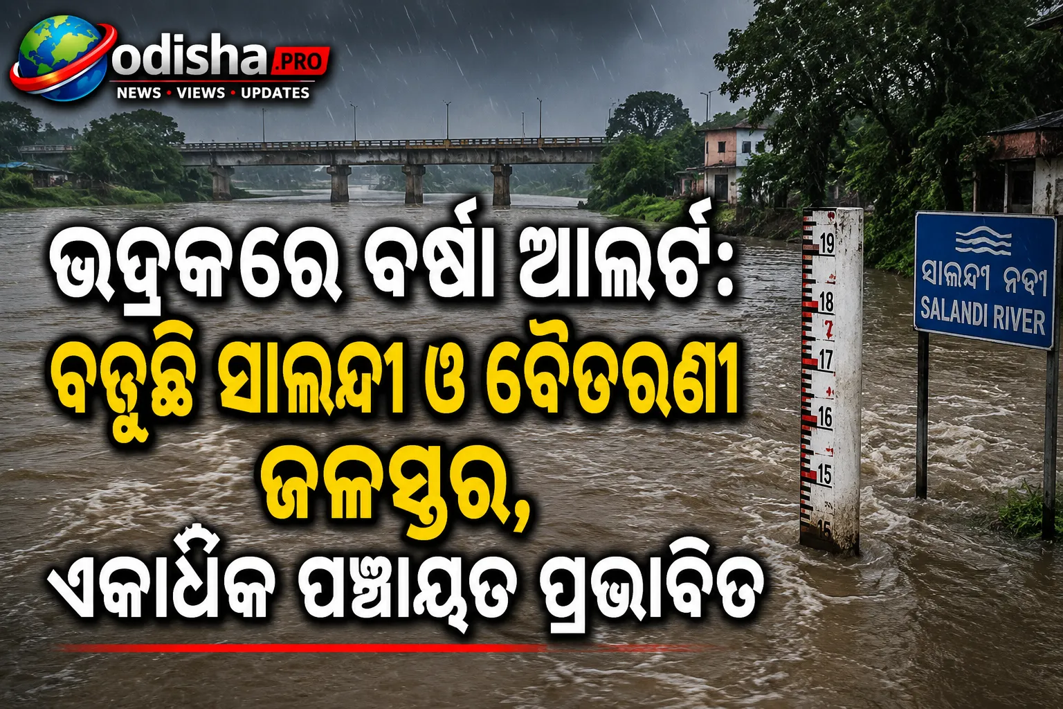 ଭଦ୍ରକରେ ବର୍ଷା ଆଲର୍ଟ: ବଢ଼ୁଛି ସାଳନ୍ଦୀ ଓ ବୈତରଣୀ ଜଳସ୍ତର, ଏକାଧିକ ପଞ୍ଚାୟତ ପ୍ରଭାବିତ