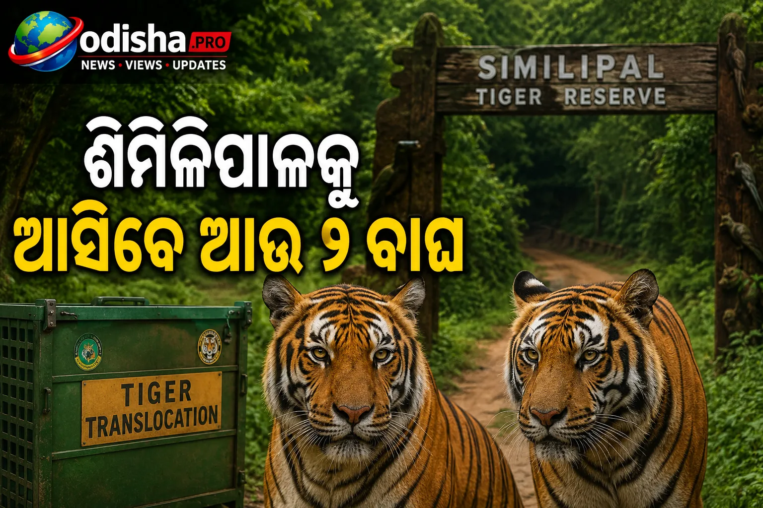 ଶିମିଳିପାଳକୁ ଆସିବେ ଆଉ ୨ ବାଘ; କେନ୍ଦ୍ରୀୟ ଭାରତରୁ ସ୍ଥାନାନ୍ତର ପାଇଁ ଅନୁମୋଦନ ମାଗିଲା ଓଡ଼ିଶା