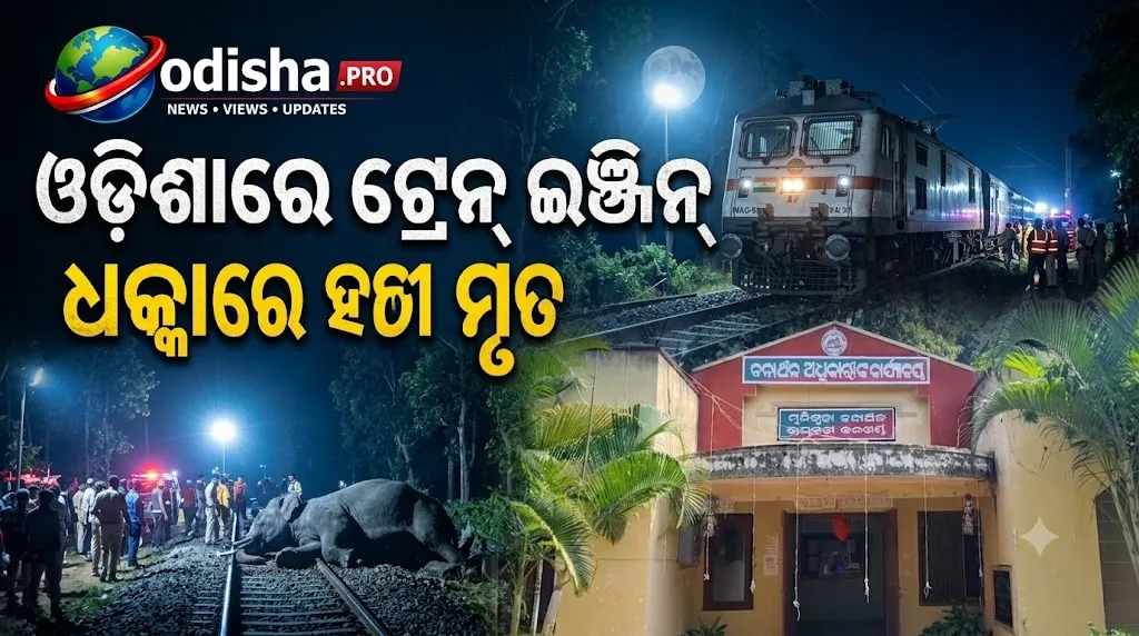 ଓଡ଼ିଶାରେ ଟ୍ରେନ୍ ଇଞ୍ଜିନ୍ ଧକ୍କାରେ ହାତୀ ମୃତ, ଘଟଣାସ୍ଥଳରେ ତଦନ୍ତ ଆରମ୍ଭ