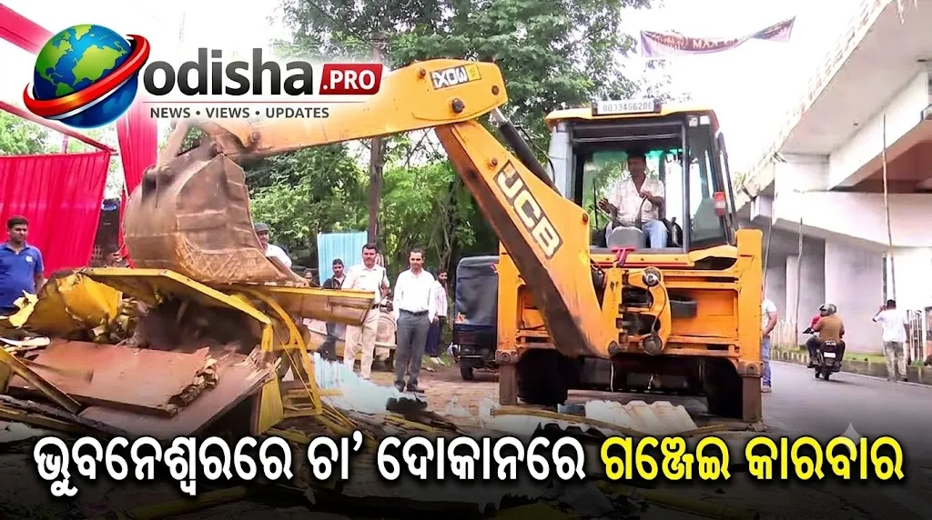 ଭୁବନେଶ୍ୱରରେ ଚା’ ଦୋକାନରେ ଗଞ୍ଜେଇ କାରବାର! ଅବକାରୀ ବିଭାଗର ଚଢ଼ାଉ, ପେଡଲର ଗିରଫ
