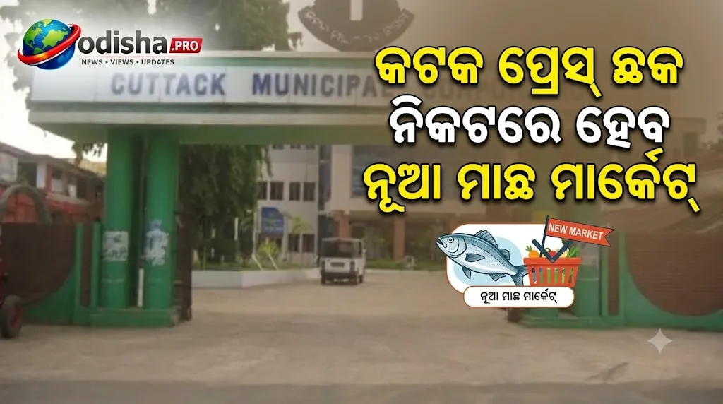 କଟକ ପ୍ରେସ୍ ଛକ ନିକଟରେ ହେବ ନୂଆ ମାଛ ମାର୍କେଟ୍, ଖର୍ଚ୍ଚ ହେବ ୨.୫ କୋଟି