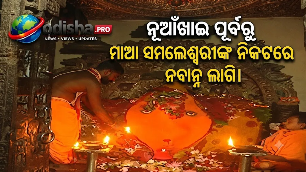 ମାଆ ସମଲେଶ୍ୱରୀଙ୍କ ନିକଟରେ ନବାନ୍ନ ଲାଗି, ନୂଆଁଖାଇ ପାଇଁ ଉତ୍ସବମୁଖର ପଶ୍ଚିମ ଓଡ଼ିଶା