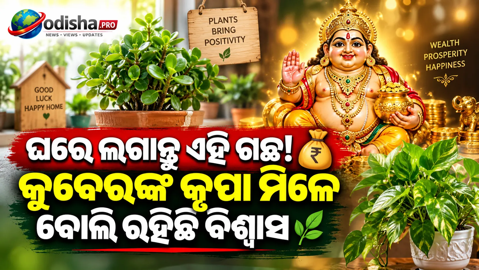 କୁବେରଙ୍କ ପ୍ରିୟ ଗଛ କୁହାଯାଏ ଏହାକୁ! ଘରେ ରଖିବାର ବିଶ୍ୱାସ ଓ ଜେଡ୍‌ ପ୍ଲାଣ୍ଟର ଯତ୍ନ ଜାଣନ୍ତୁ