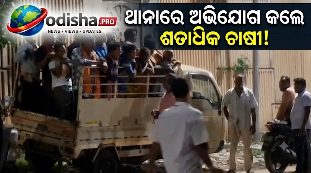 ଫସଲ ନଷ୍ଟ କରୁଛନ୍ତି ଷଣ୍ଢ, ପୁରୀରେ ଷଣ୍ଢଙ୍କ ନାଁରେ ଥାନାରେ ଅଭିଯୋଗ କଲେ ଶତାଧିକ ଚାଷୀ!