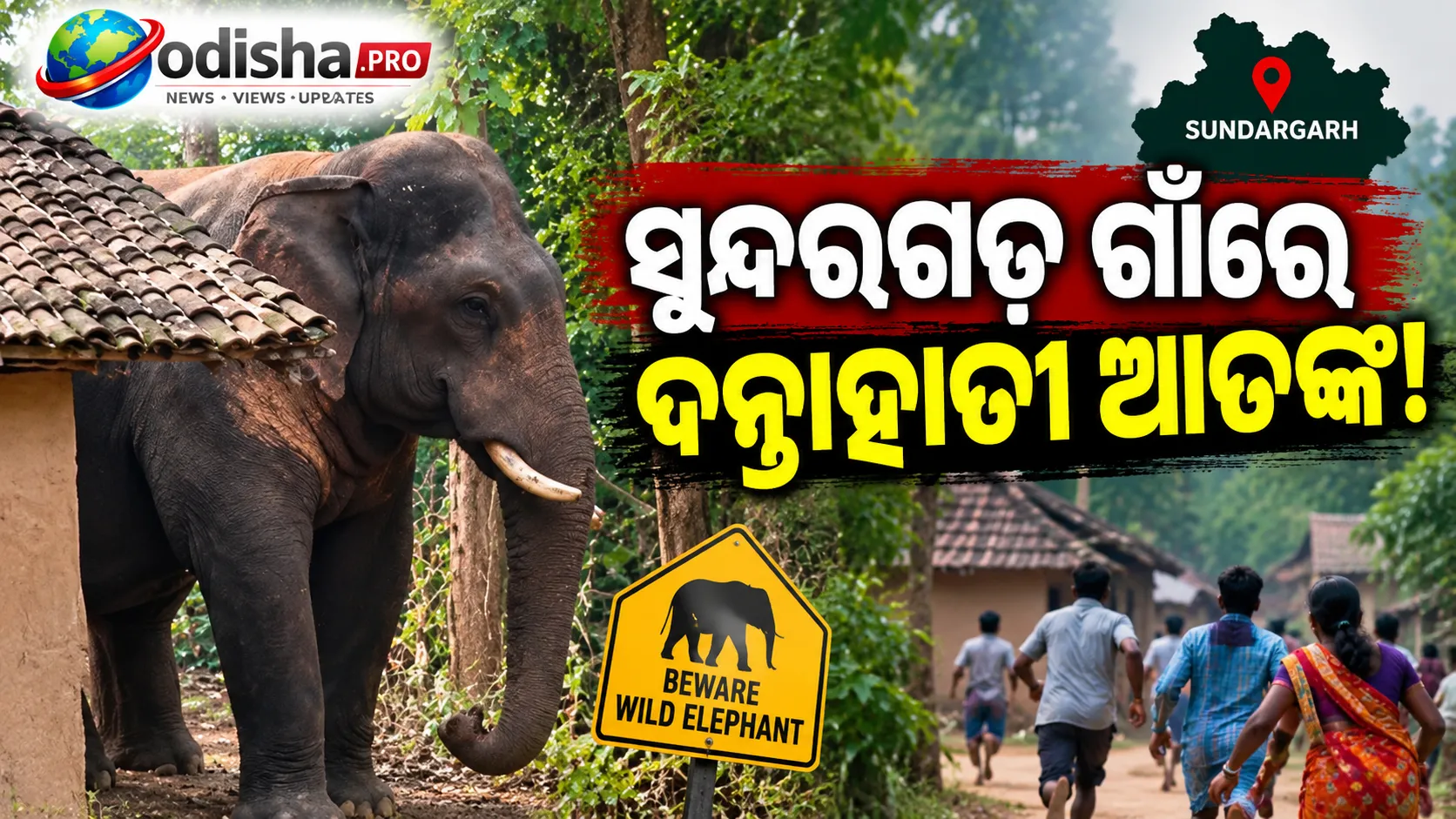ସୁନ୍ଦରଗଡ଼ ଗାଁରେ ପଶିଲା ଦନ୍ତାହାତୀ, ଭୟରେ ଘର ଛାଡ଼ିଲେ ଲୋକେ