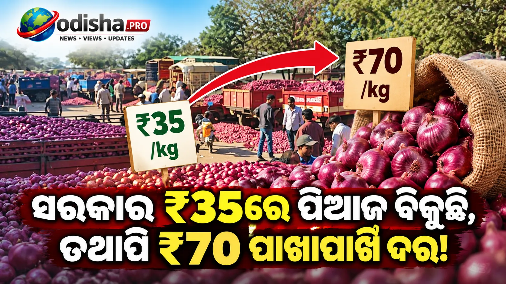 ସରକାର ₹35ରେ ପିଆଜ ବିକୁଛି, ତଥାପି ₹70 ପାଖାପାଖି ଦର! କାହିଁକି କମୁନି ପିଆଜ ଦାମ?