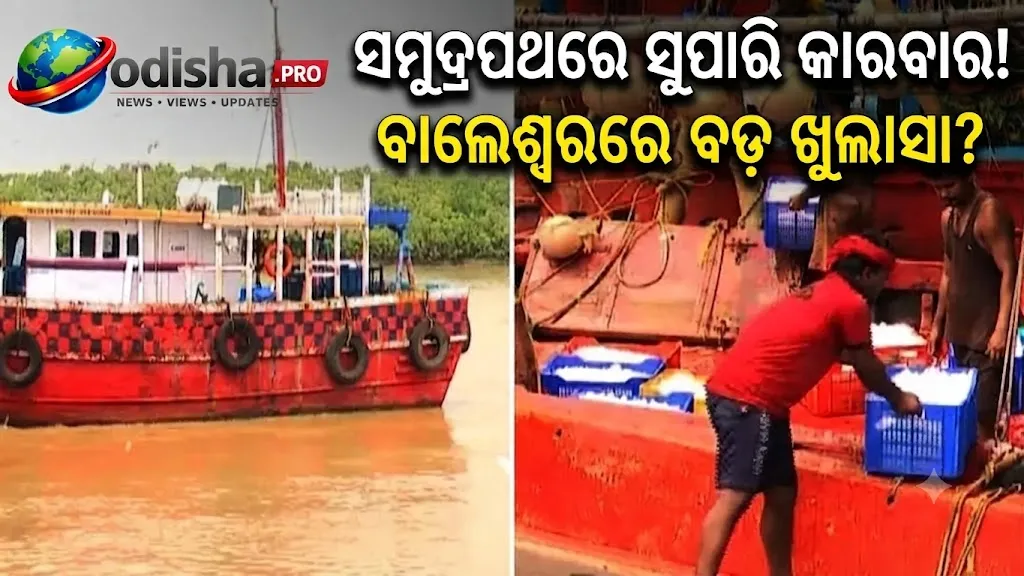 ସମୁଦ୍ରପଥରେ ବାରମ୍ବାର ଜବତ ପରେ ବାଲେଶ୍ୱରରେ ସୁପାରି କାରବାର ଉପରେ ନଜର