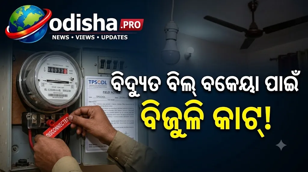 ବିଦ୍ୟୁତ ବିଲ୍ ବକେୟା ପାଇଁ ୨୫ ସ୍କୁଲର ବିଜୁଳି କାଟ୍‌, ଗଛ ତଳେ ପାଠ ପଢ଼ୁଛନ୍ତି ଛାତ୍ରଛାତ୍ରୀ