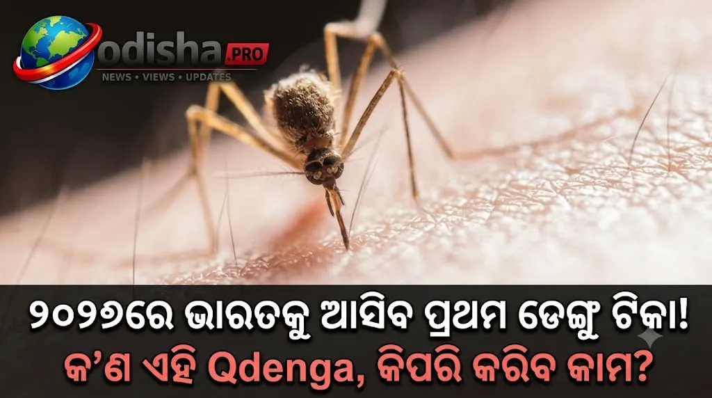 ୨୦୨୭ରେ ଭାରତକୁ ଆସିବ ପ୍ରଥମ ଡେଙ୍ଗୁ ଟିକା! କ’ଣ ଏହି Qdenga, କିପରି କରିବ କାମ?