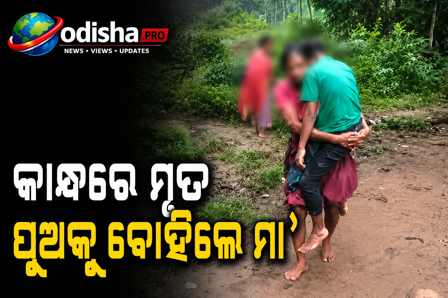 ଆମ୍ବୁଲାନ୍ସ ଗାଁରେ ପହଞ୍ଚିଲାନି, କାନ୍ଧରେ ମୃତ ପୁଅକୁ ବୋହିଲେ ମା’