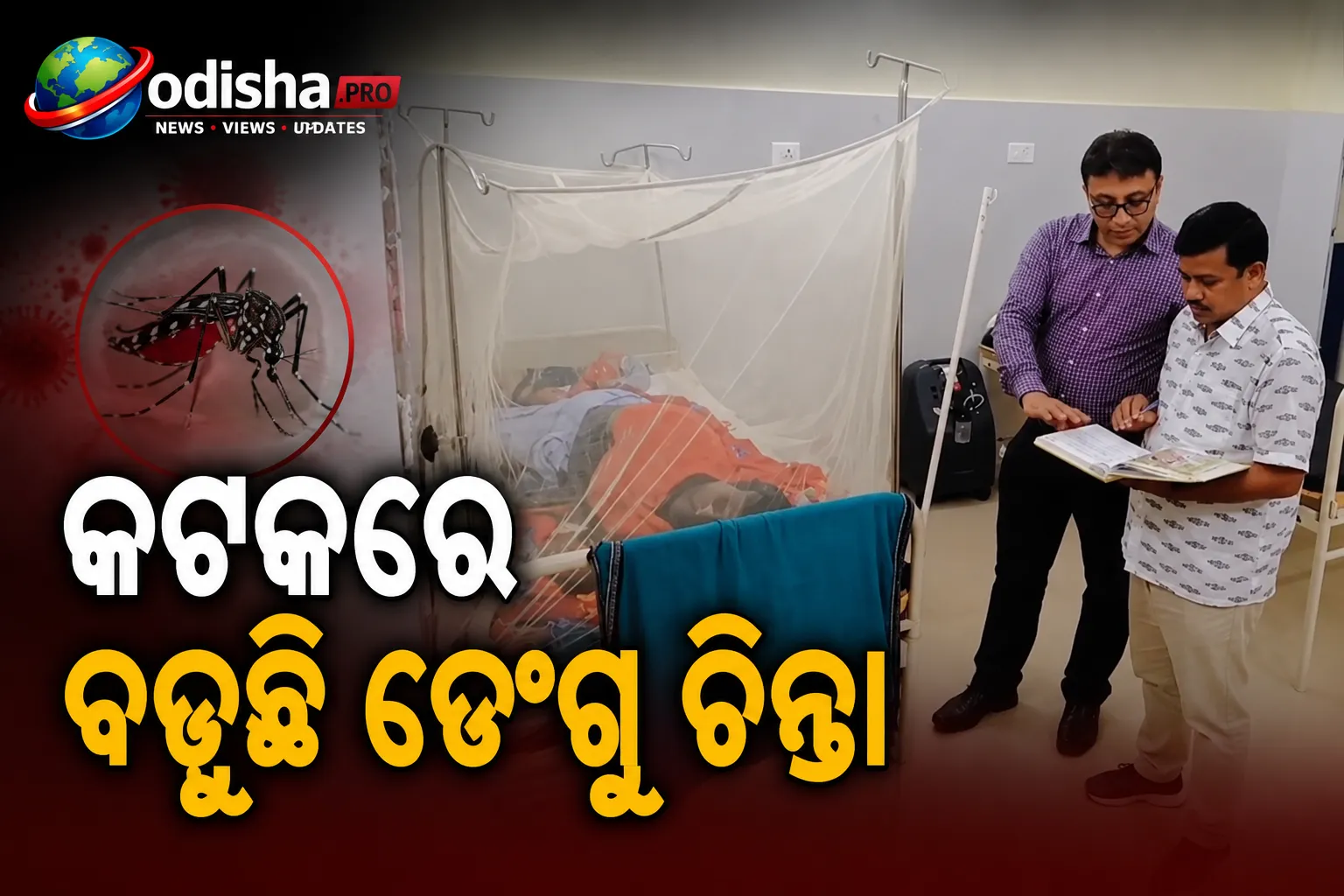 କଟକରେ ବଢ଼ୁଛି ଡେଙ୍ଗୁ ଚିନ୍ତା, ବ୍ୟାଙ୍କୀ ହସ୍ପିଟାଲରେ ୩ ରୋଗୀ ଚିହ୍ନଟ