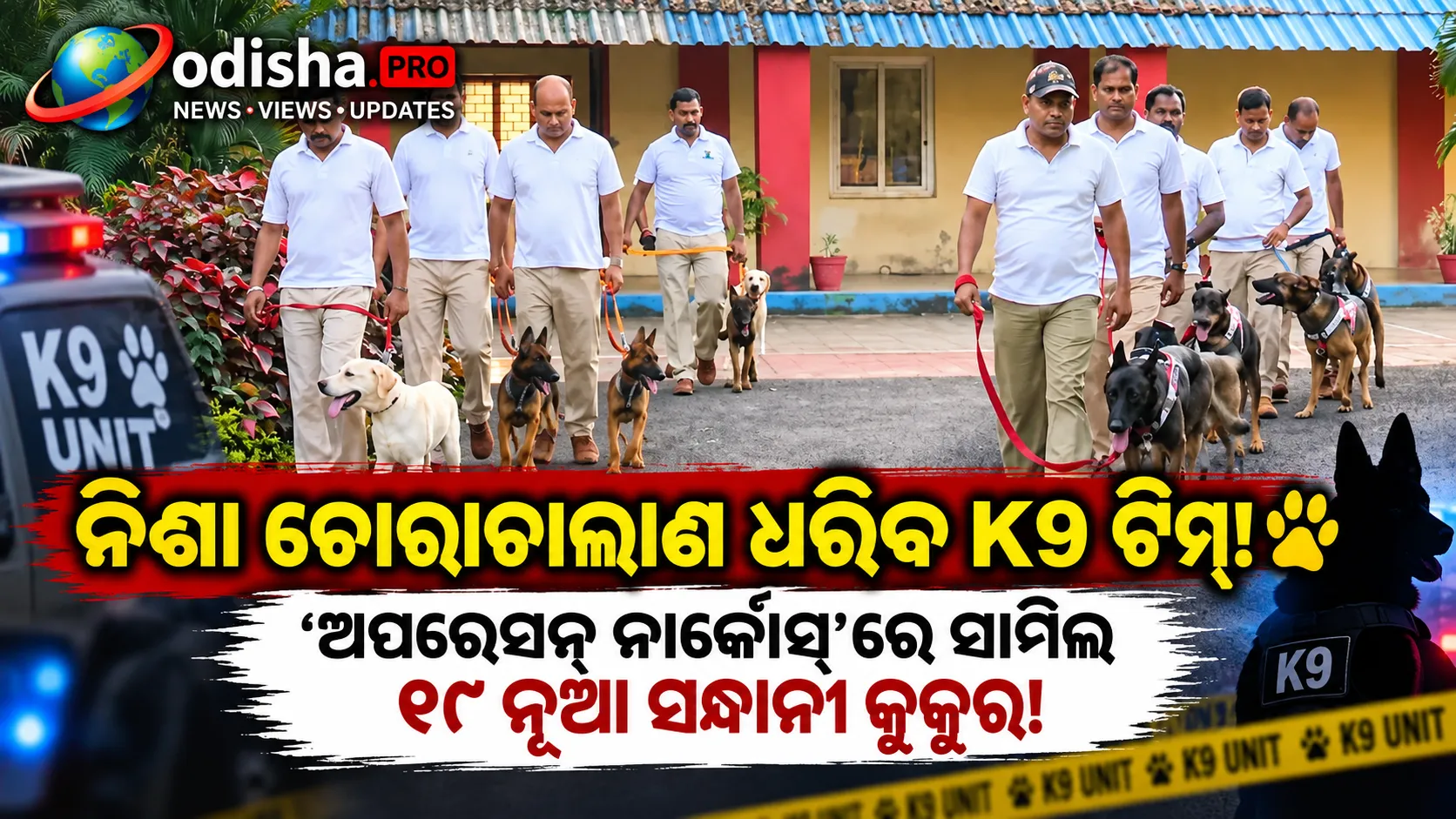 ‘ଅପରେସନ୍ ନାର୍କୋସ୍’କୁ K9 ଶକ୍ତି: ନିଶାଦ୍ରବ୍ୟ ଚୋରାଚାଲାଣ ରୋକିବାକୁ ୧୮ ନୂଆ ସନ୍ଧାନୀ କୁକୁର ସାମିଲ