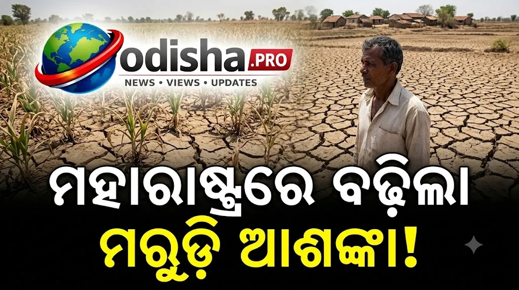 ମହାରାଷ୍ଟ୍ରରେ ମରୁଡ଼ି ଆଶଙ୍କା, ପ୍ରଭାବିତ ହୋଇପାରେ ଓଡ଼ିଶା ବଜାର