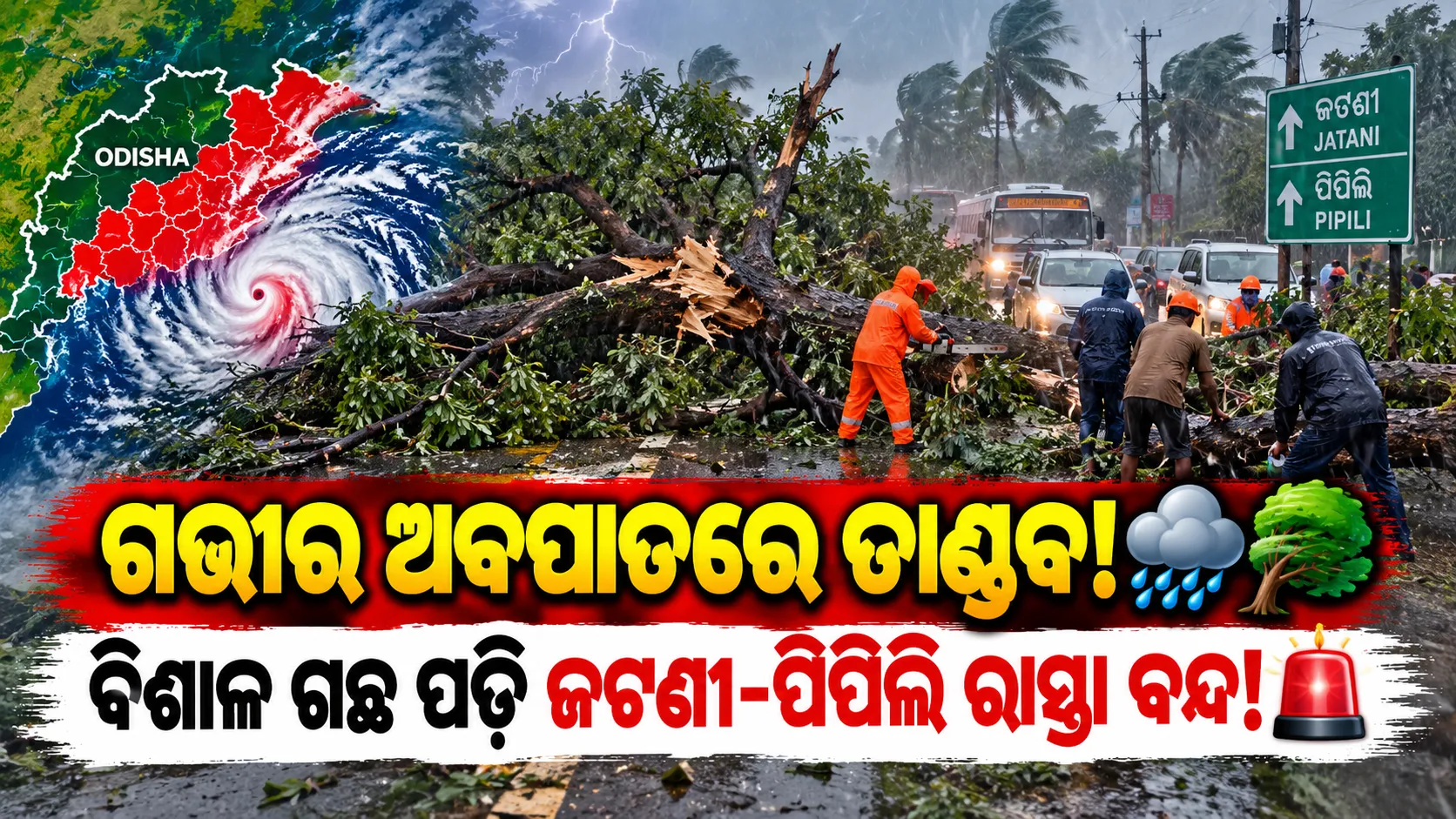 ତାଣ୍ଡବ ରଚିଲା ଗଭୀର ଅବପାତ; ପବନରେ ଉପୁଡ଼ିଲା ବିଶାଳ ଗଛ, ଜଟଣୀ-ପିପିଲି ରାସ୍ତା ଅବରୋଧ