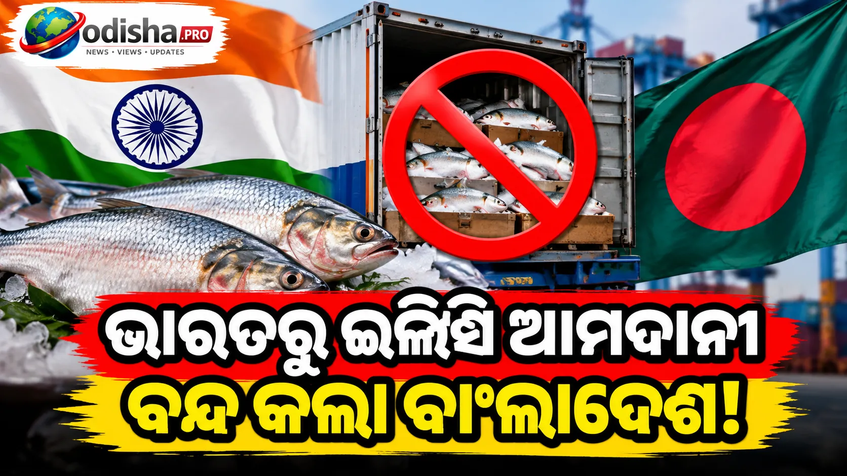 ଗୁଜରାଟରୁ ଇଲିସି ଆମଦାନୀ ବନ୍ଦ କଲା ବାଂଲାଦେଶ, ୧୦୩ଟି NOC ରଦ୍ଦ; ଦୁର୍ଗାପୂଜା ପୂର୍ବରୁ ବଢ଼ିଲା ଚିନ୍ତା